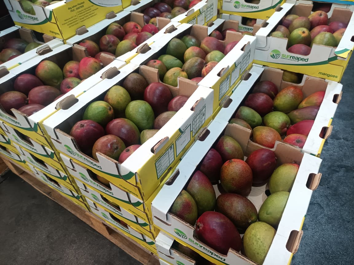 Mangoes