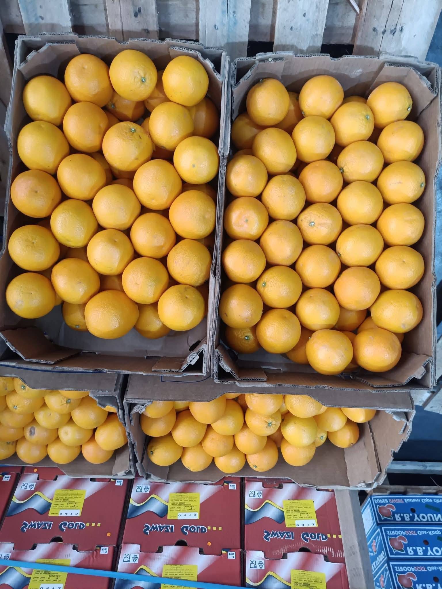 Oranges