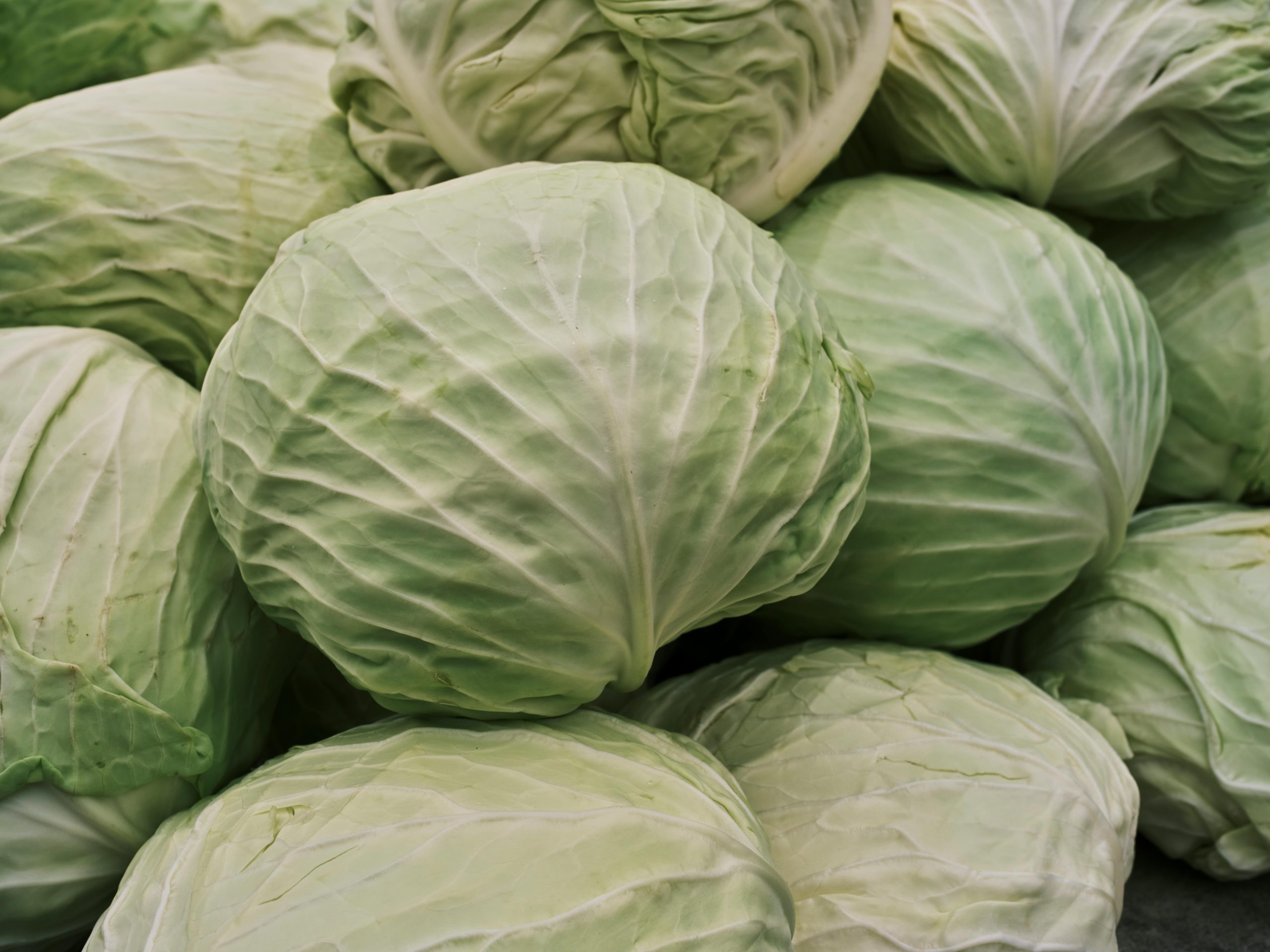 Cabbages