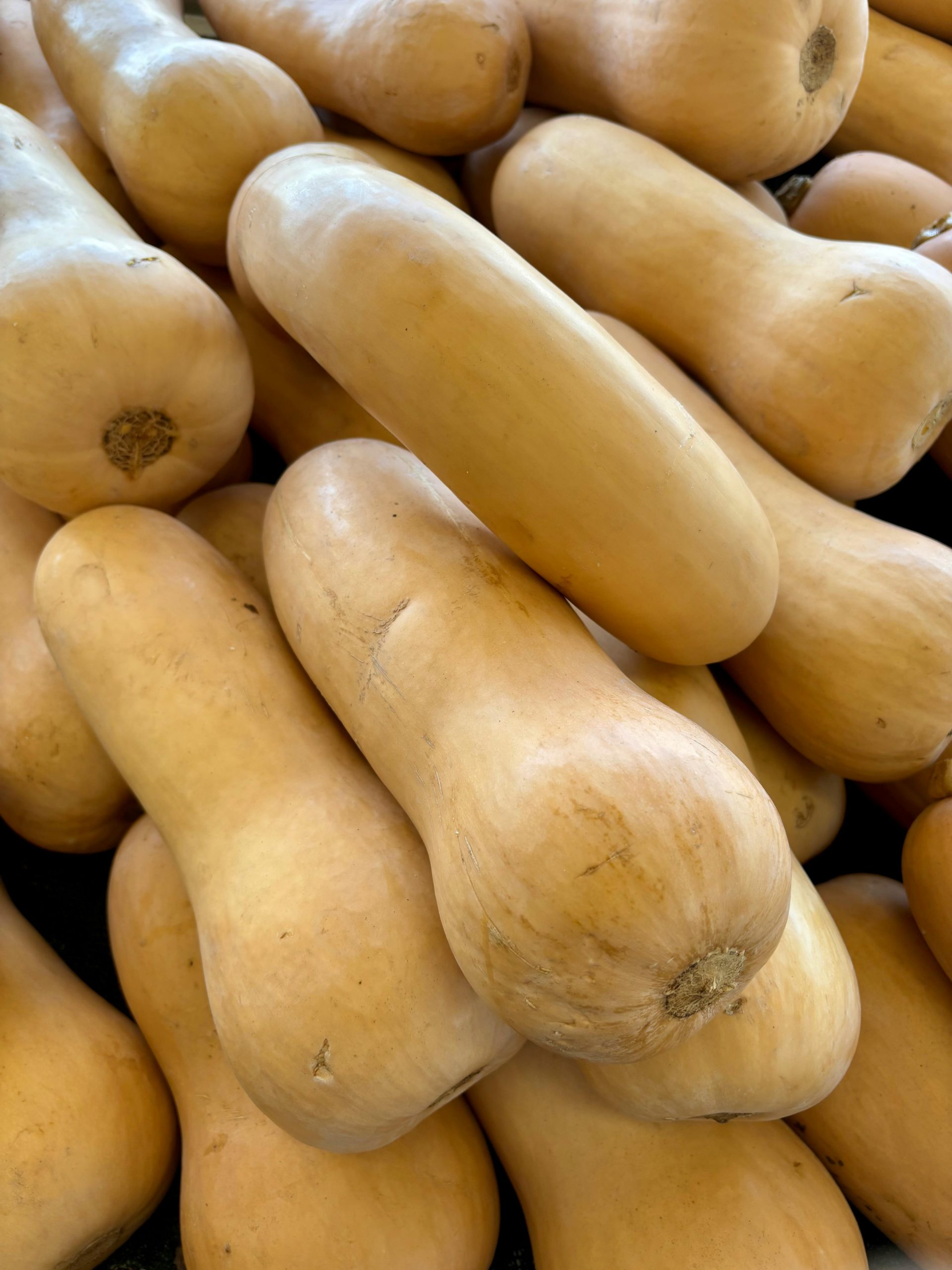Butternuts